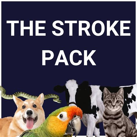 Stroke The Animals