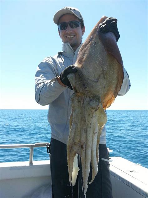 Image result for Alien Fish Catching