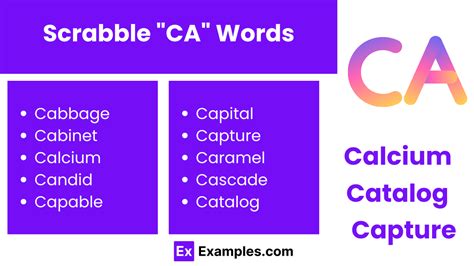 450+ CA Words: Meaning , PDF