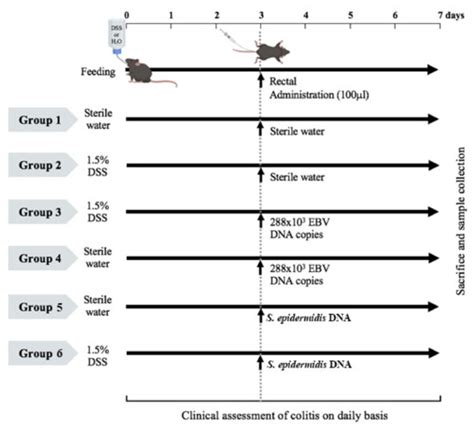 Viruses | Special Issue : In Vivo Mouse Models of Human Viral Infections