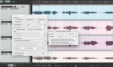 Image result for Reaper Dynamic Split