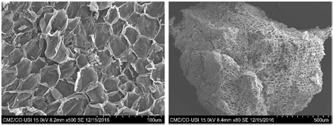 Enhancing Density-Based Mining Waste Alkali-Activated Foamed Materials ...