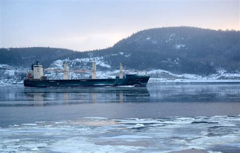Gnl Quebec 的图像结果