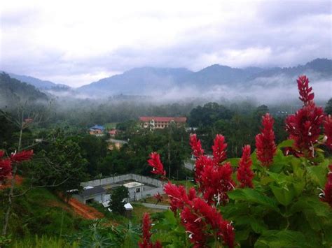 Janda Baik Photos - Featured Images of Janda Baik, Bentong - Tripadvisor