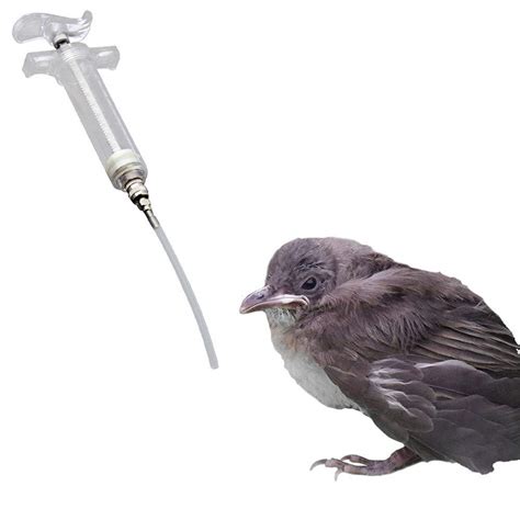Buy AMILKS Bird Feeder Syringe Bird Feeders For Small Birds Bird ...