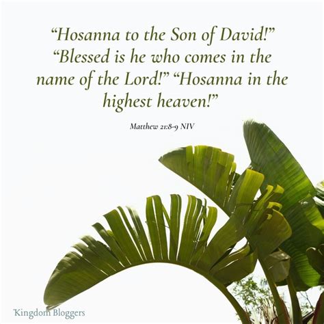 14 Palm Sunday Scriptures to Prepare Your Heart for the Coming King