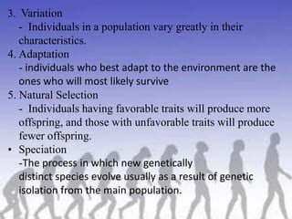 Individual Evolution 的图像结果