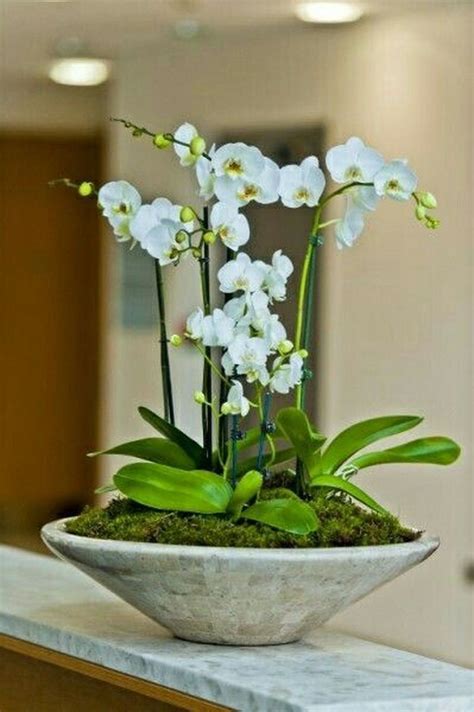40+ Amazing Orchid Arrangements Ideas To Enhanced Your Home Beauty ...