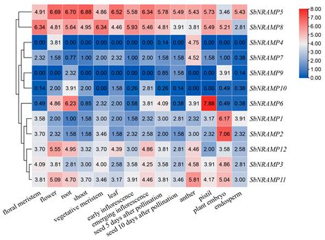 Genome-Wide Identification of Natural Resistance-Associated Macrophage ...