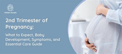 2nd Trimester of Pregnancy: Changes and Care Guide