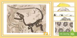 Types of Fossils Display Posters | Twinkl Originals - Twinkl