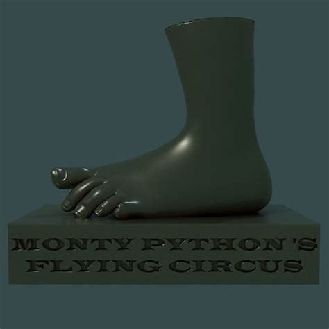 Image result for Python Foot
