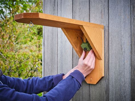 When do British birds start nesting? | Green Feathers