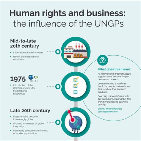 UN guiding principles in supply chain due diligence laws | Sedex