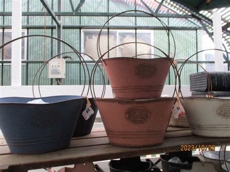 4種類限定!嬉しい!!ブリキ鉢20%OFF～30％OFF｜「庭夢」 外構・エスクテリア・花・ガーデニング・雑貨 愛知 安城市 岡崎市 刈谷市 ...