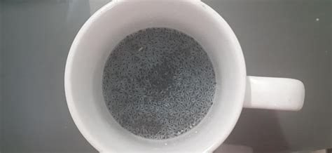 Spicy Carte Basil Seeds (Sabja / Kaskas / Falooda), 1Kg : Amazon.in ...