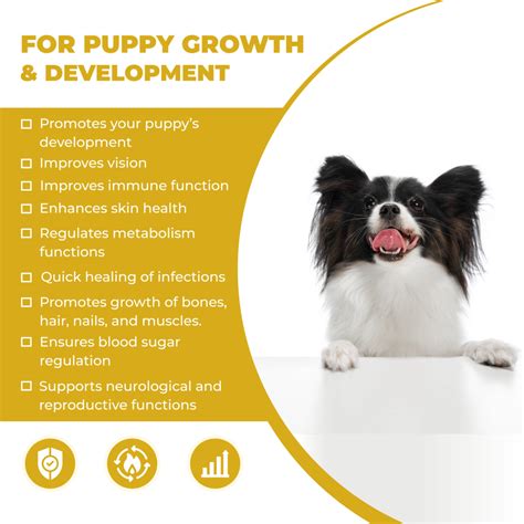 Buy FurBall Story Cannivin Healthy Bones & Teeth Oral Nutritional Spray ...