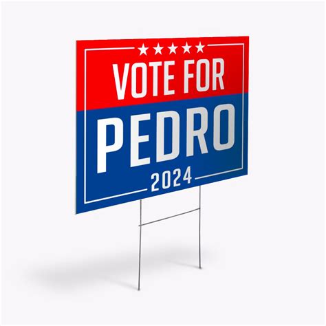 Voting Signs 的图像结果