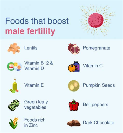 Fertility-Boosting Foods - One Stop Supplements