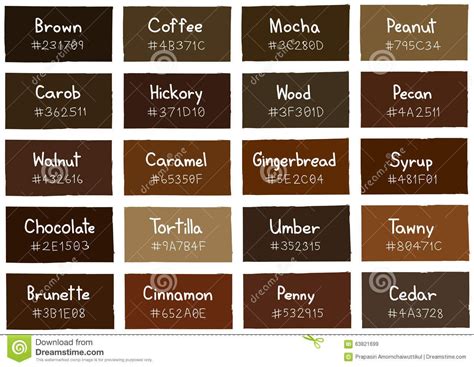 Brown Tone Color Shade Background With Code And Name Stock Vector - Image: 63821699 | Shades of ...