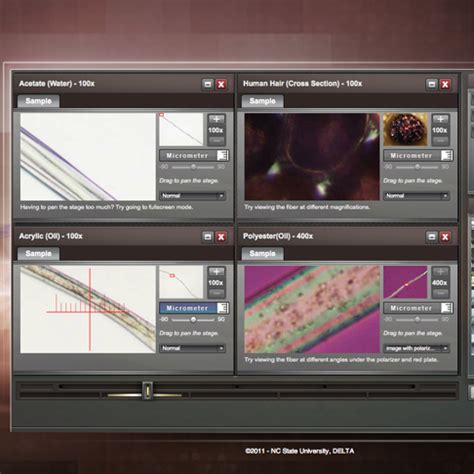 Image result for Virtual Microscope