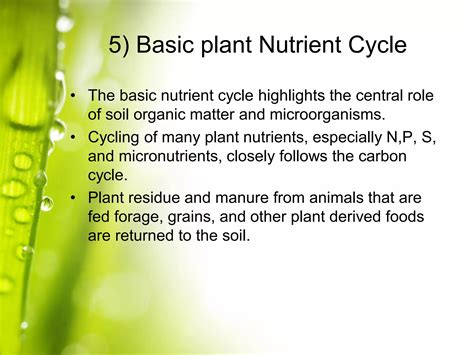 Image result for Decomposition Explained