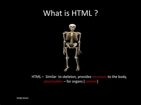 HTML CSS JavaScript Human Body Analogy 的图像结果