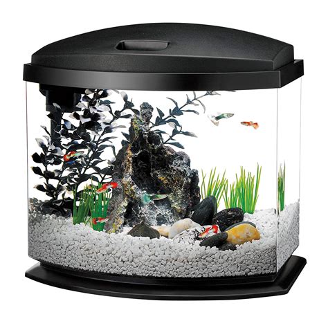 This Is How Many Fish You Can Fit In A 5-Gallon Tank – Your Fish Guide