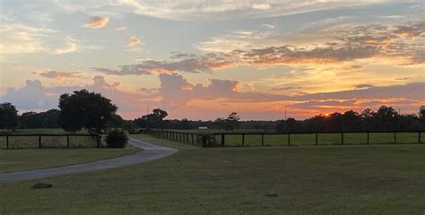 Reddick Vacation Rentals & Homes - Florida, United States | Airbnb