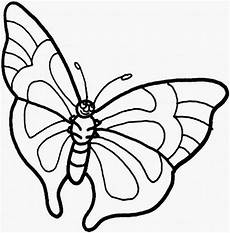 ausmalbilder schmetterling ausdrucken ausmalbilder schmetterling zum ausdrucken ausmalbilder schmetterling ausdrucken ausmalbilder schmetterling zum ausdrucken