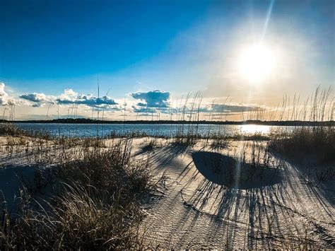 Image result for Multi-Label Classification