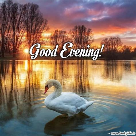 Beautiful Good Evening Images, Photos & Pictures Ideas 2021