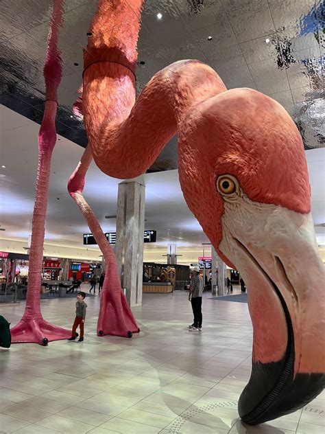 Mini Smith on LinkedIn: #airportart #tpa #tpa3 #klal #amazon