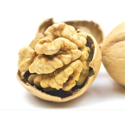 Walnut (Akhrot) with Shell