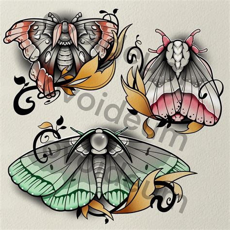 Moth Tattoo Drawing