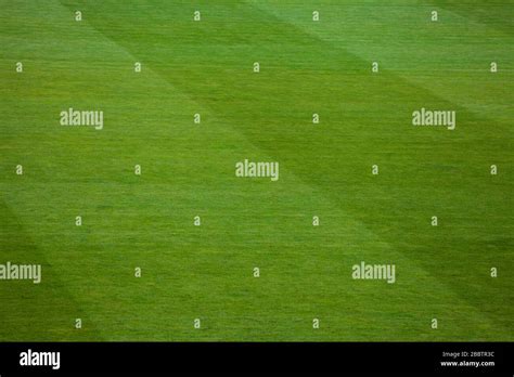 Natural Grass Field 的图像结果