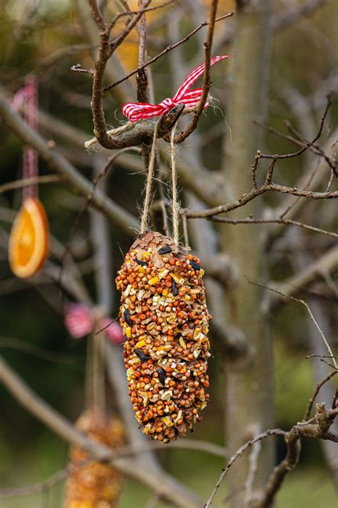 Pine cone bird feeders – Artofit