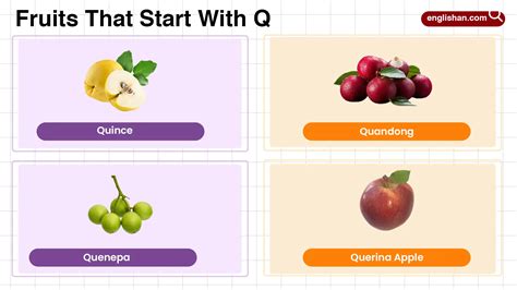 18 Fruits That Start With Q: Complete List