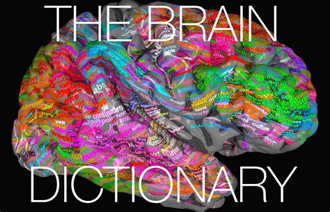 Brain’s ‘thesaurus’ mapped to help decode inner thoughts – Lifeboat News: The Blog
