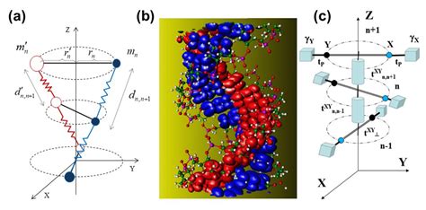 Base-Pairs’ Correlated Oscillation Effects on the Charge Transfer in ...