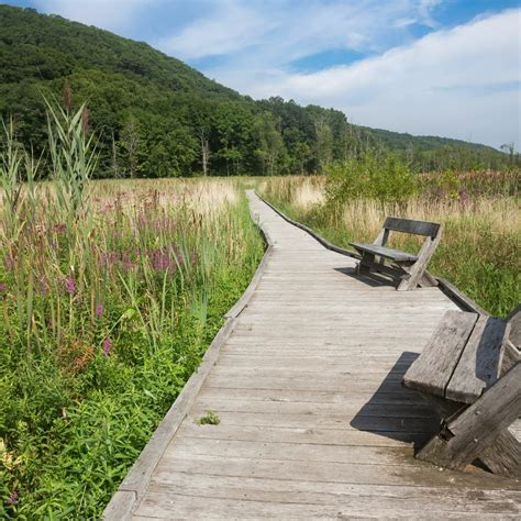 18 Best Hikes Near NYC That Make For Perfect Day Trips