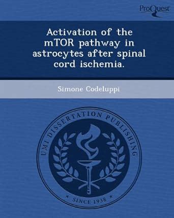 Buy Activation of the Mtor Pathway in Astrocytes After Spinal Cord ...