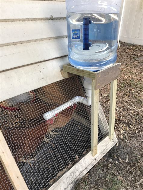 Homemade Chicken Waterer | How to Make a DIY Chicken Waterer from a 5 ...
