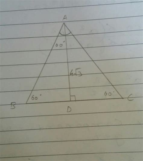 3. Find the perimeter and area of an equilateral A. The height of an ...