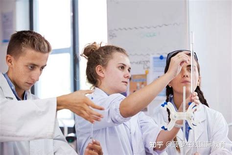 上海耀中2023-24学年招生信息、入学条件、课程设置及学费标准 - 知乎