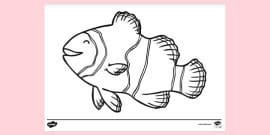 Detailed Fish Colouring | Colouring Sheets (teacher made)