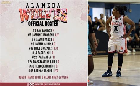 Image result for Elliot Saba Wolves