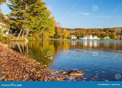 Autumn Foliage in Elmore State Park in Vermont Stock Photo - Image of ...
