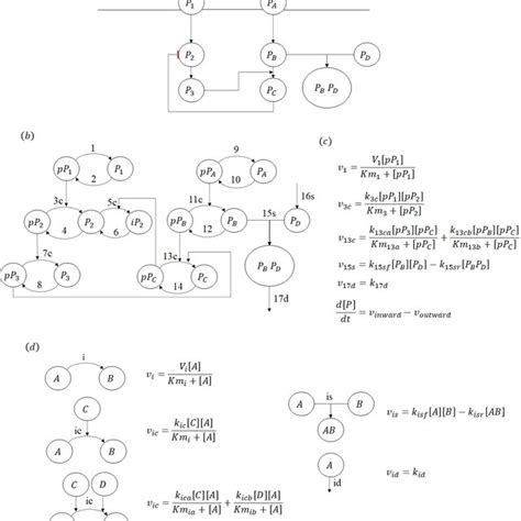 Normalized System Differential Equation 的图像结果
