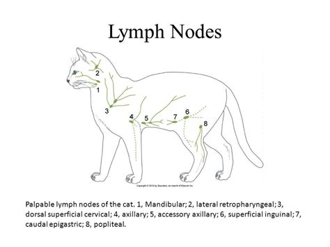 Image result for Porta Cipher Example